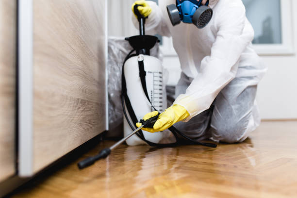 Best Wasp Removal Services  in Urbana, MD