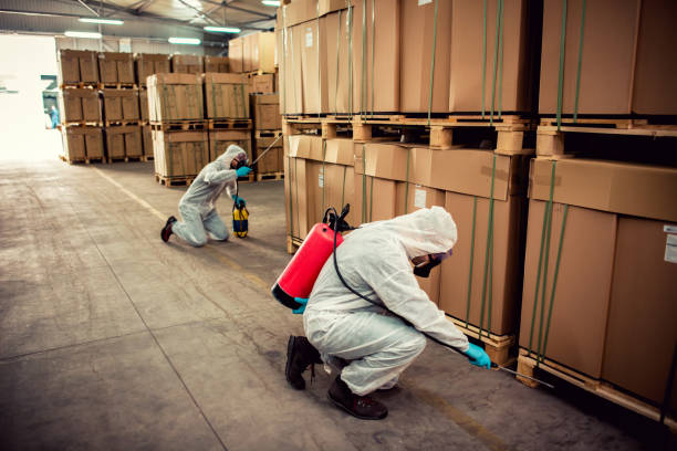 Best Emergency Pest Control  in Urbana, MD