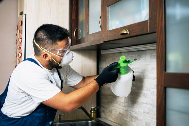 Best Bed Bug Extermination  in Urbana, MD