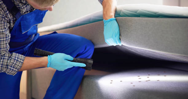 Best Affordable Pest Control Services  in Urbana, MD
