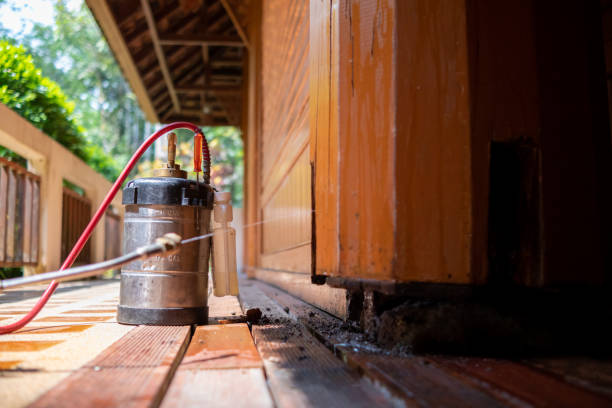 Best Cockroach Control Services  in Urbana, MD
