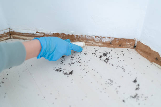 Best Pest Removal Services  in Urbana, MD